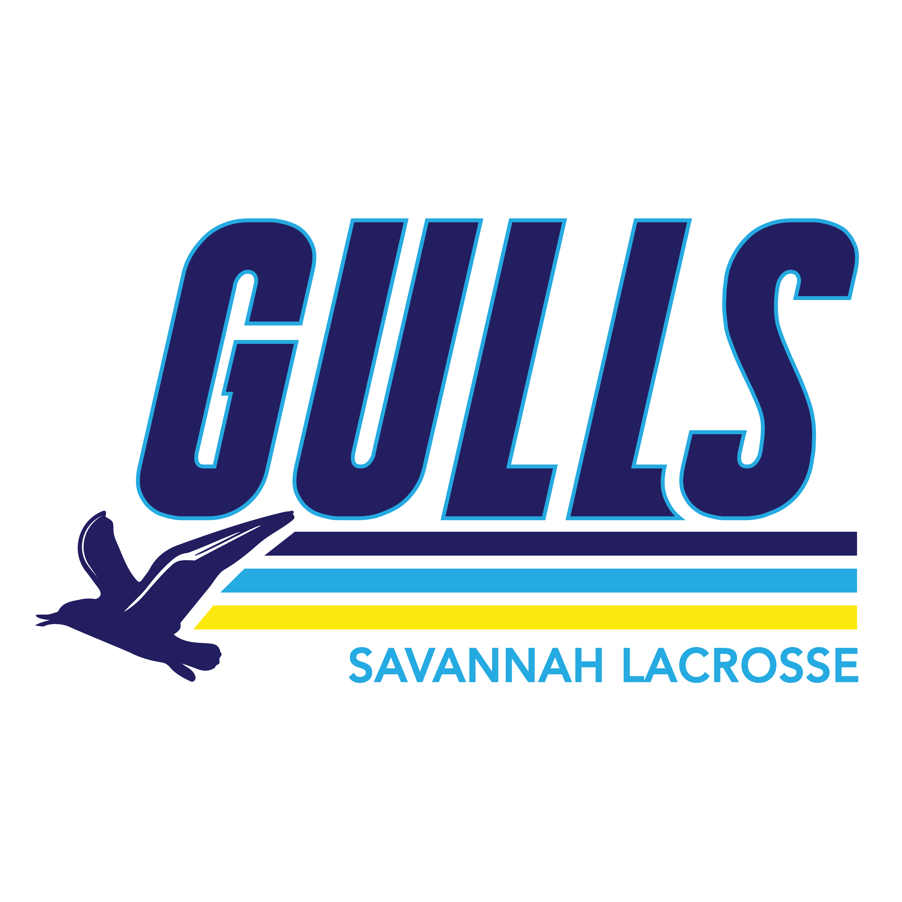 Gulls Logo